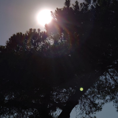 Relaxation/Méditation cover