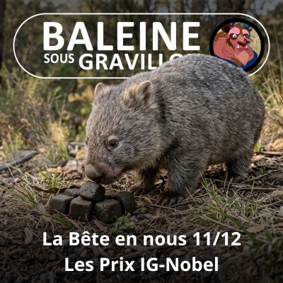 S03E78 La Bête en nous 11/12 : Quand le ridicule fait avancer la science (Jessica Serra) cover