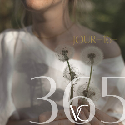 LIVE 365•16 Saute et le filet apparaîtra ! cover
