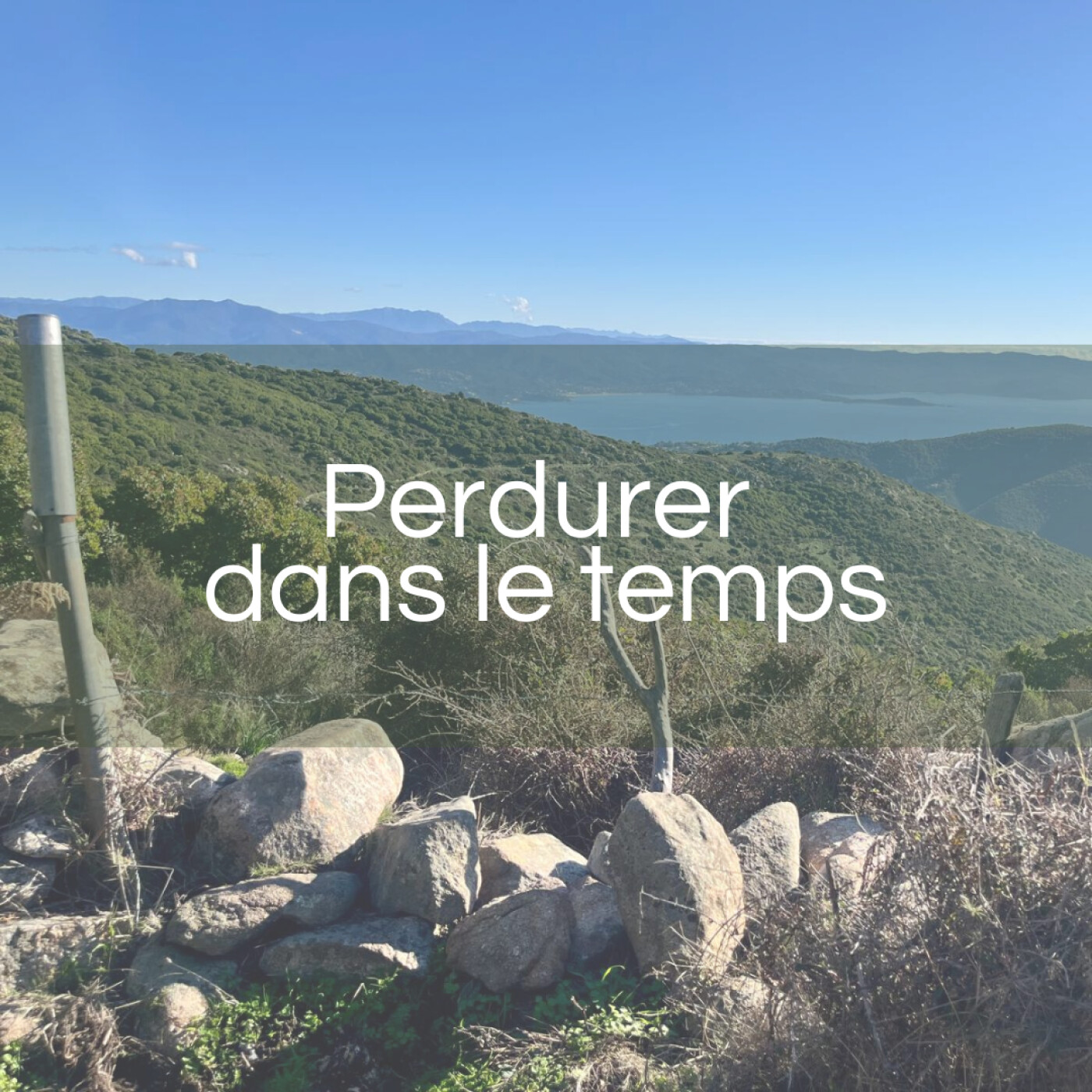 Perdurer dans le temps episode artwork