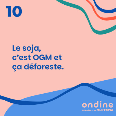 #10 • “Le soja, c’est OGM et ça déforeste.” cover