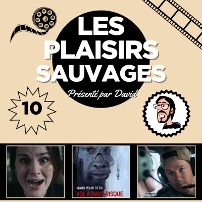 Les Plaisirs Sauvages n°10 - Vol à haut risque [Sans spoilers] cover