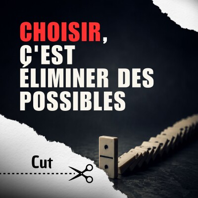 [Extrait] Choisir, c’est éliminer des possibles cover