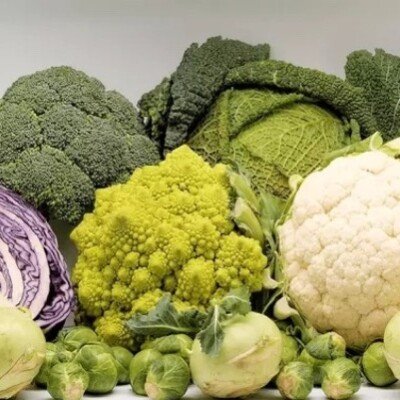 Episode - 33 - Les choux, quelques recettes, trucs et astuces cover