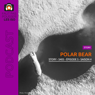 STORY - S405 - Polar Bear cover