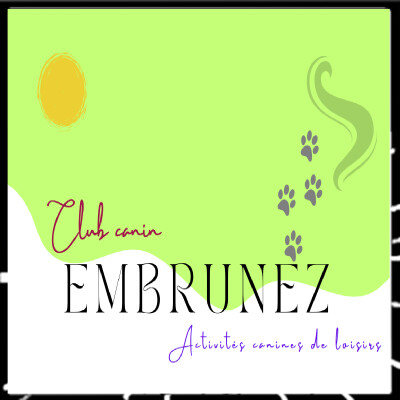 RTVV 140, Sauver la vie de votre chien avec Jean-Rémy Magnant, éducateur canin cover