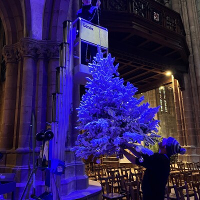 Dans les coulisses de Noël à Sélestat #1 : Les petites mains qui font briller la cité humaniste cover