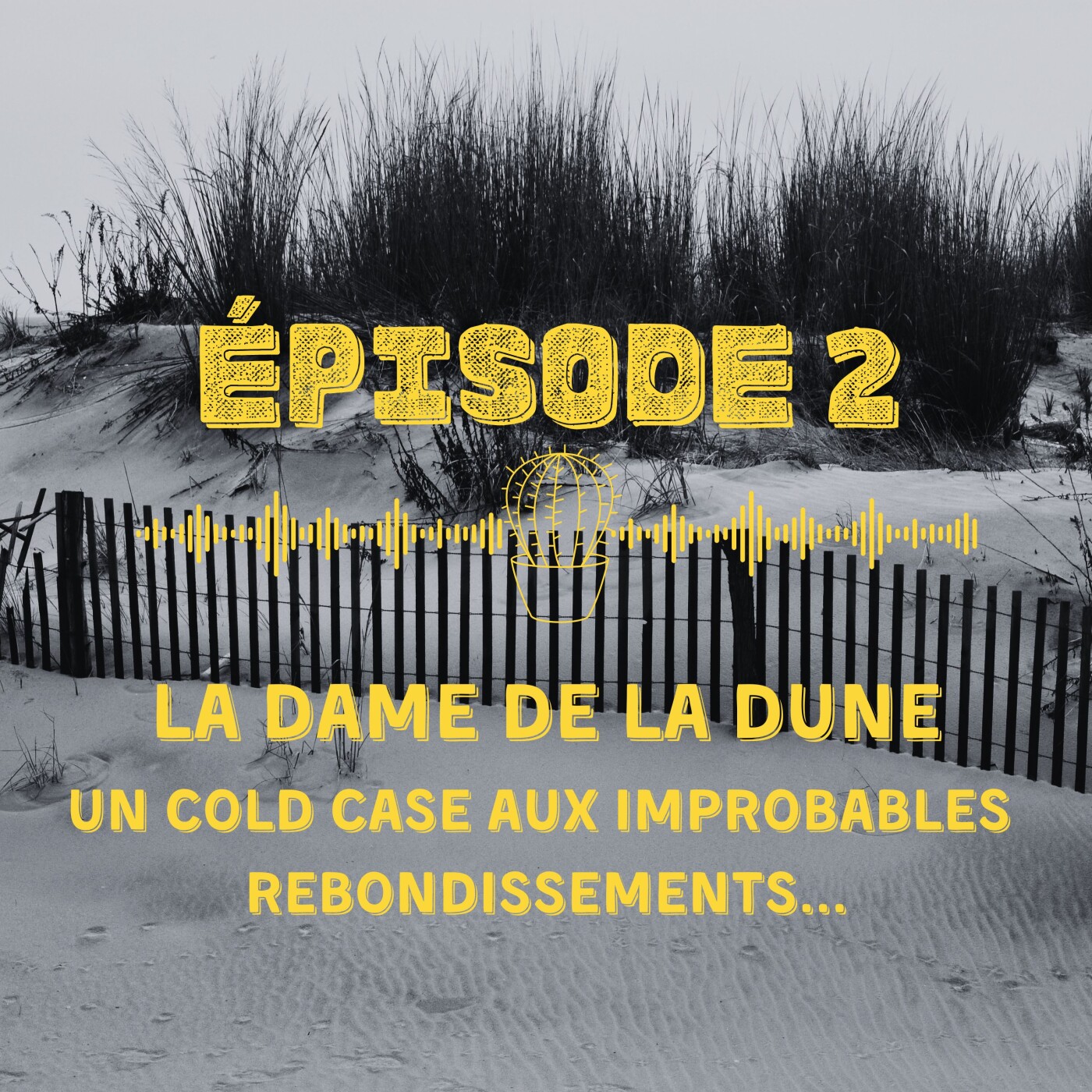 La Dame de la Dune : un cold case aux improbables rebondissements... episode artwork