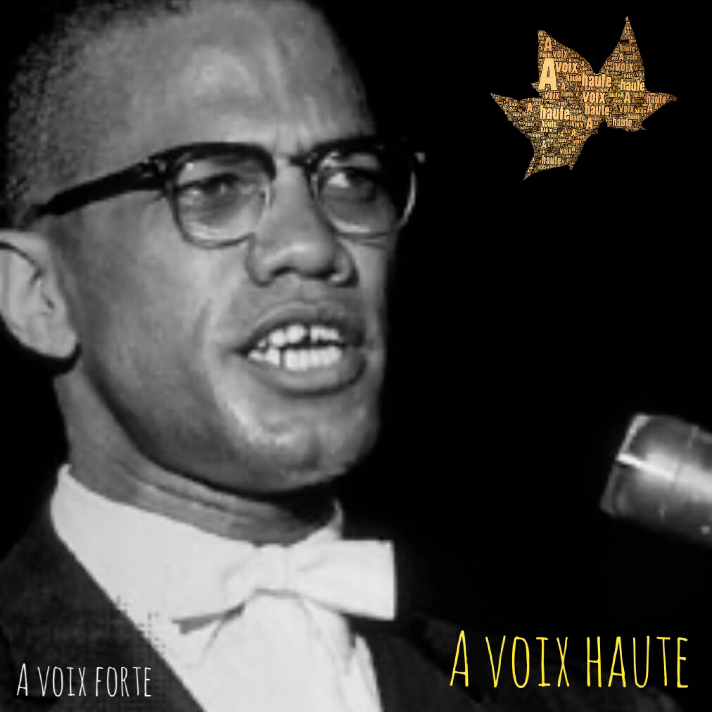À Voix forte - Dernier discours de Malcolm X - Partie 3 - Yannick Debain