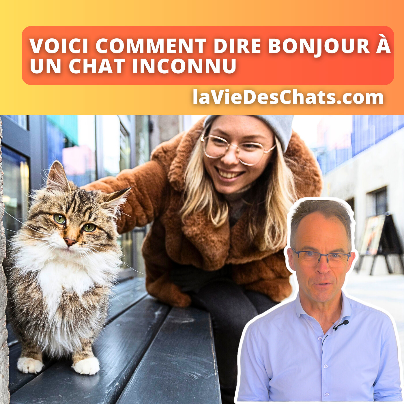 laVieDesChats