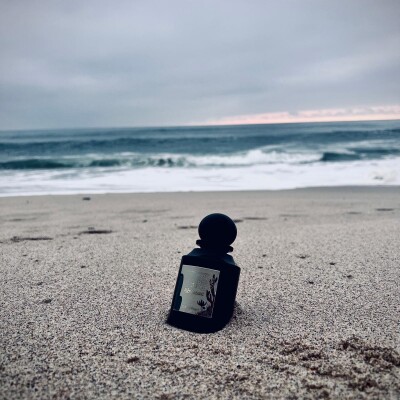 Les O Profondes cover