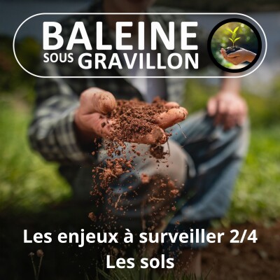 S03E97 Les grands enjeux à surveiller 2/4 : Les sols, un problème très terre à terre... cover