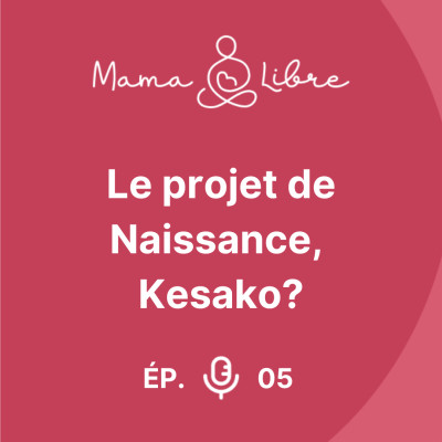 Le projet de naissance, kesako cover