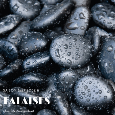 S3E8 - Falaises cover