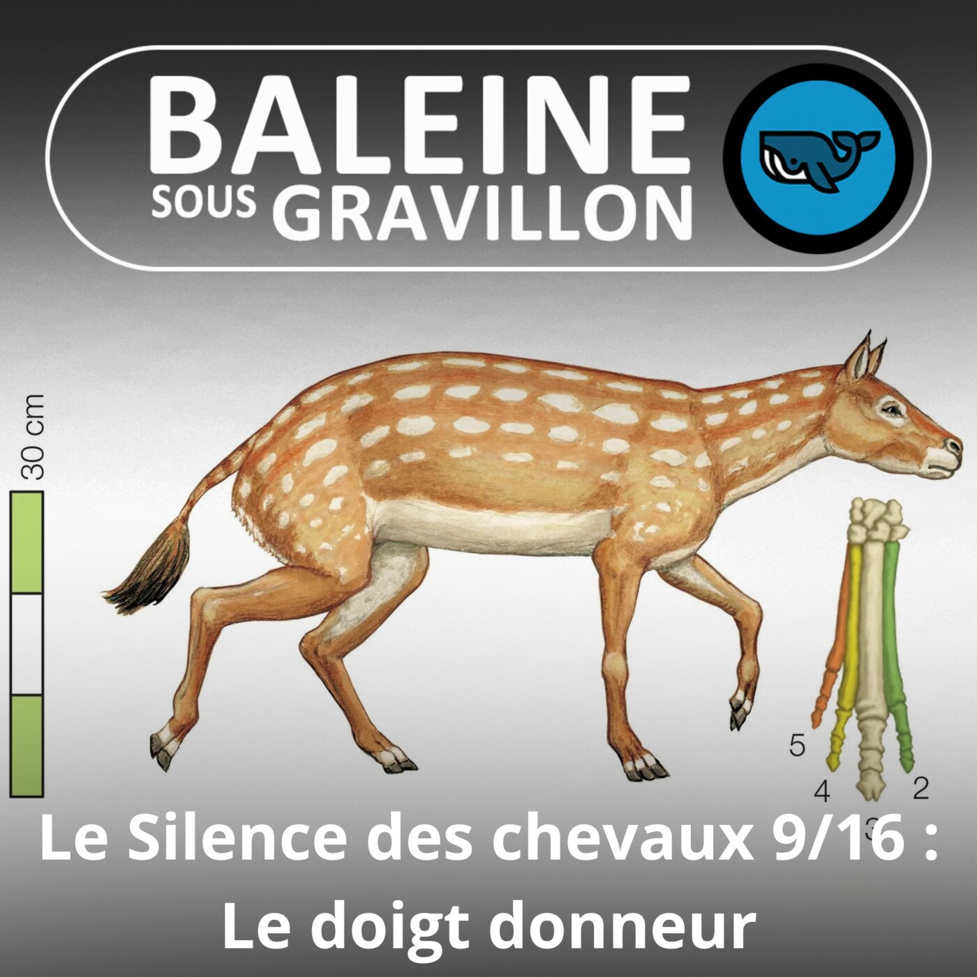 S06E43 Le Silence des chevaux 9/16 : Un seul doigt pour courir plus vite