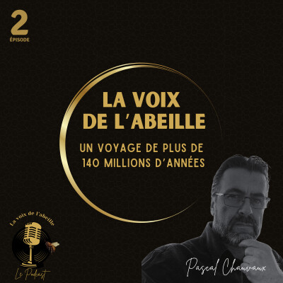 #2 - Un voyage de plus de 140 millions d'années cover