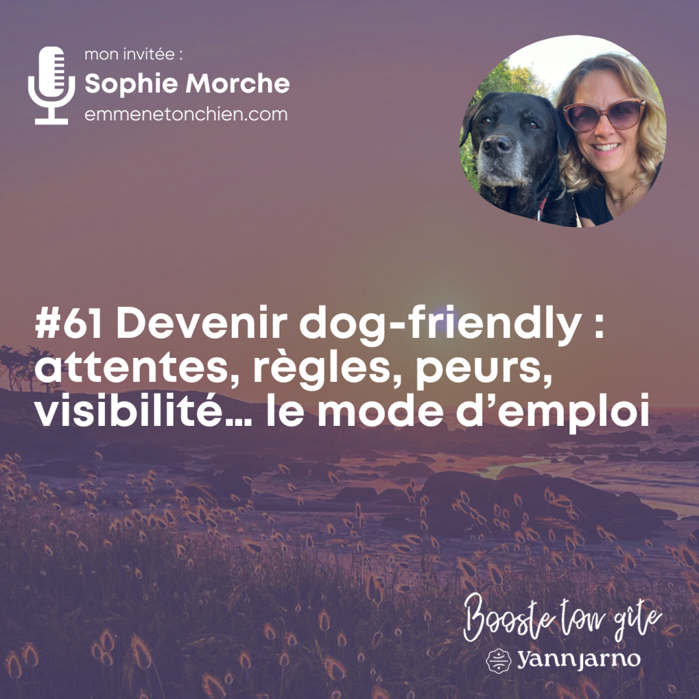 #61 Devenir dog-friendly : attentes, règles, peurs, visibilité… le mode d’emploi avec Sophie Morche - Emmene ton chien