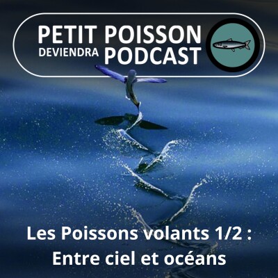 S02E36 Les Poissons volants 1/2 : Début d'un nouveau cycle avec Jeanne Benichou cover