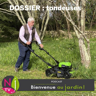 LE DOSSIER:COMMENT CHOISIR SA TONDEUSE ? cover
