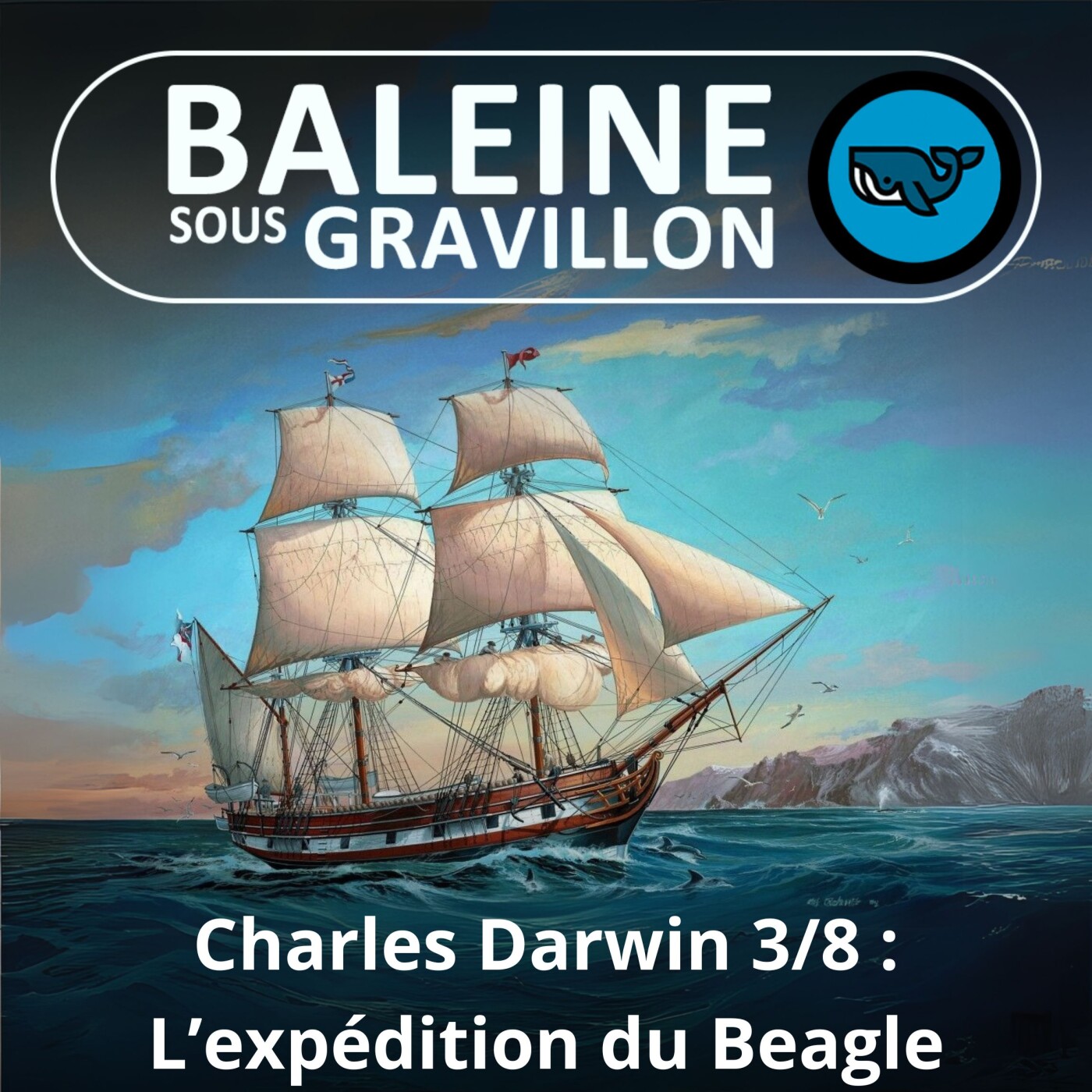 Baleine sous Gravillon