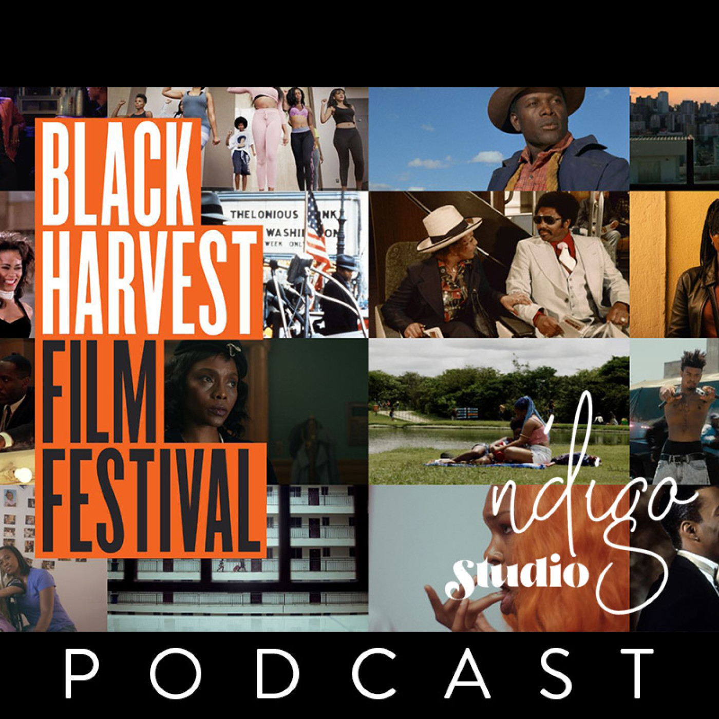 The Power of Black Harvest Film Festival and Sergio Mims