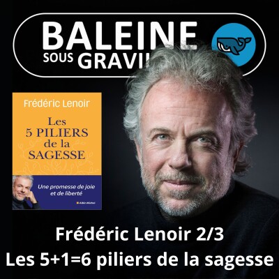 S07E71 Les 5 piliers de la sagesse 2/3 : L'humour, un 6e pilier (Frédéric Lenoir) cover
