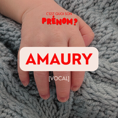 Amaury [VOCAL] cover