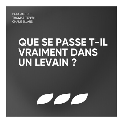 Épisode #1 - Que se passe t-il vraiment dans le levain ? cover