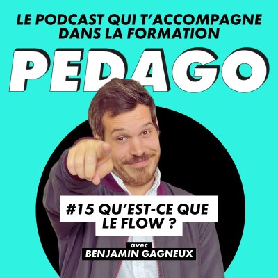 #15 Qu'est-ce que le flow ? cover