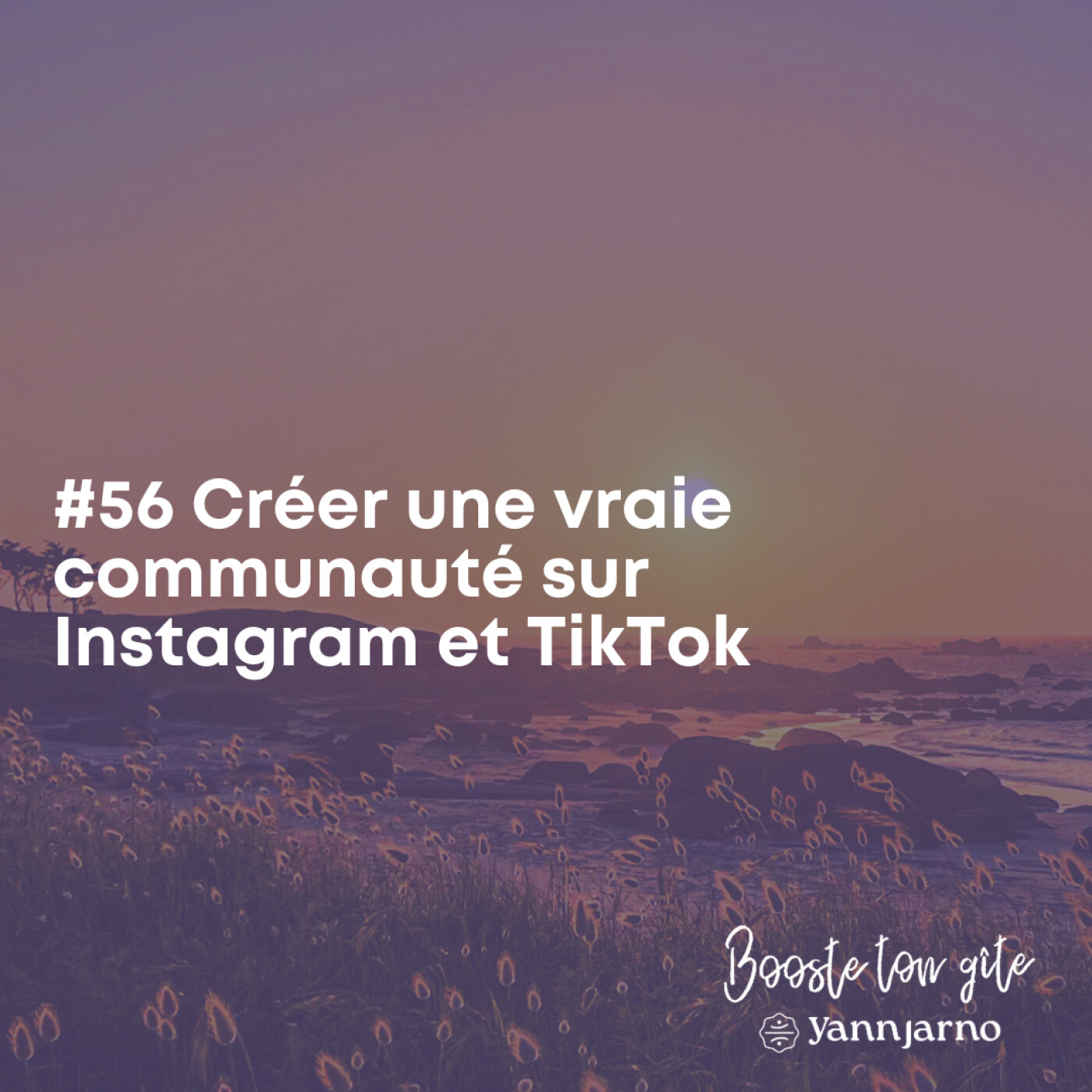 #56 Créer une vraie communauté sur Instagram et TikTok