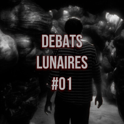 Débats Lunaires #01 : Rencontre avec Thibault Emin cover