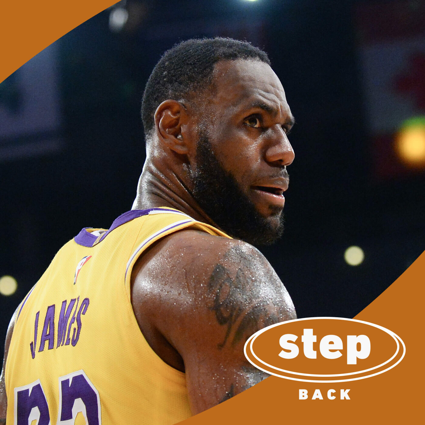 Les Lakers orphelins de LeBron James