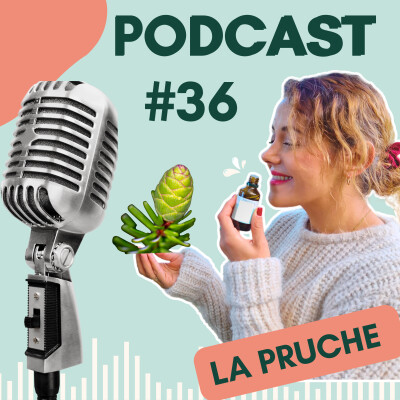#36 La PRUCHE 🌲 : traverser les TRANSITIONS de vie avec PAIX et CONFIANCE cover