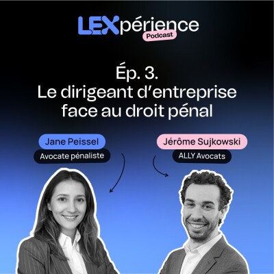 03. Le dirigeant face au droit pénal : ce que vous risquez vraiment cover