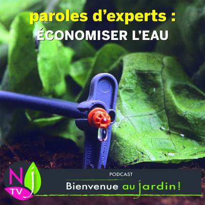 PAROLES D'EXPERTS: COMMENT ÉCONOMISER L’EAU DANS LE JARDIN cover
