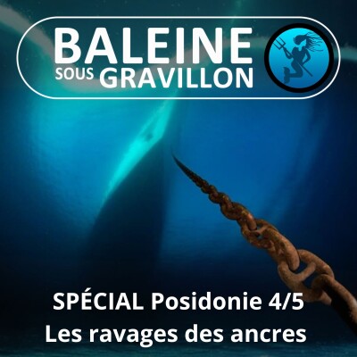 SPÉCIAL Posidonie 4/5 : Un trésor ravagé par les ancres des bateaux cover