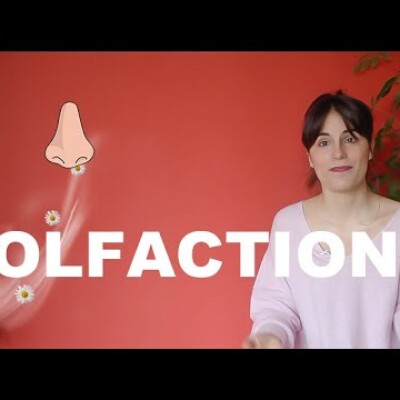 Olfaction des huiles essentielles cover