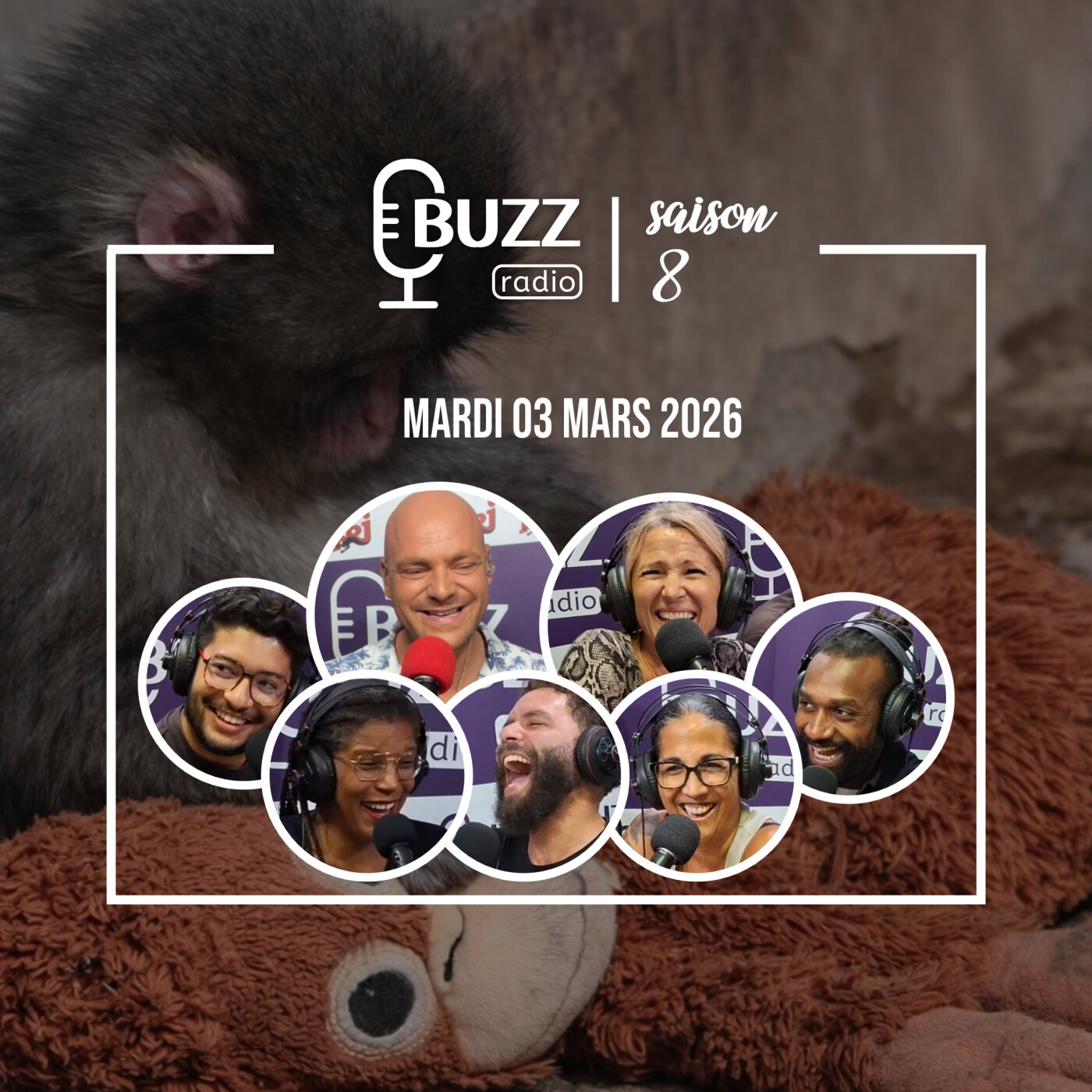Mardi 03/03/2026 - Le bébé singe Punch et son petit doudou episode artwork