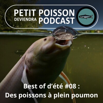 BEST OF D'ÉTÉ #08 : Dipneustes, des poissons à plein poumon ! cover