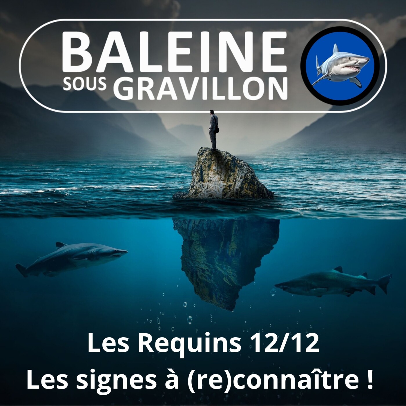 S04E16 Requins 12/12 : Avant de se réconcilier, les (re)connaître ! (Steven Surina) episode artwork