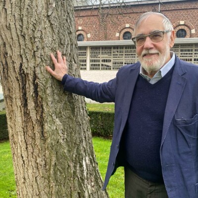 Albert Guigui : "Quand les hommes se parlent, il y a toujours un espoir" cover