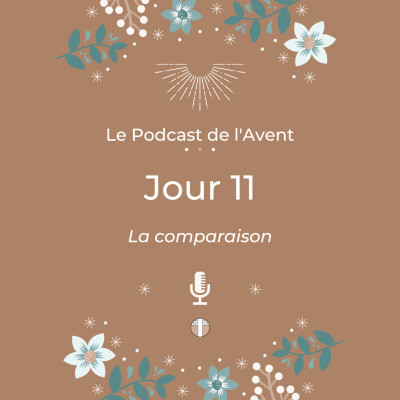 11. La comparaison cover