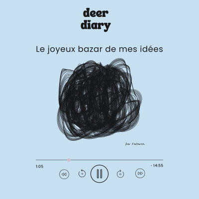 le joyeux bazar de mes idées cover