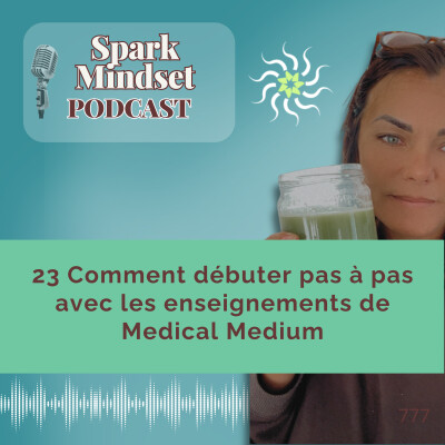 23 Comment débuter pas à pas avec les enseignements de Medical Medium cover
