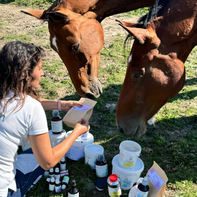 🎙️ Interview • Elisandre Desquiens créatrice de la marque de produits O’Beltan cover