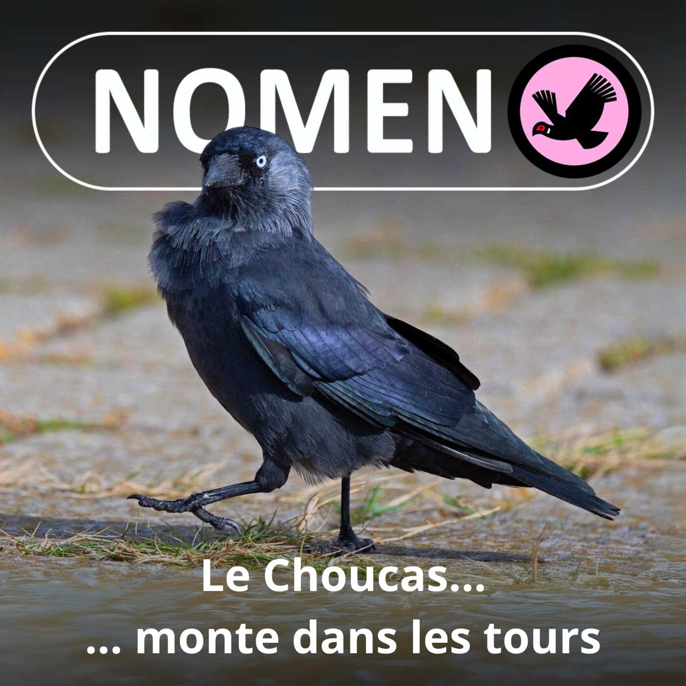 Nomen