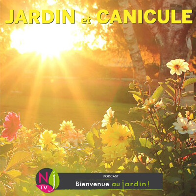 #81: LE DOSSIER: LE JARDIN FACE À LA CANICULE cover