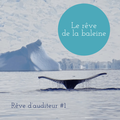 Rêve d'auditeur #1 :  Le rêve de la baleine cover