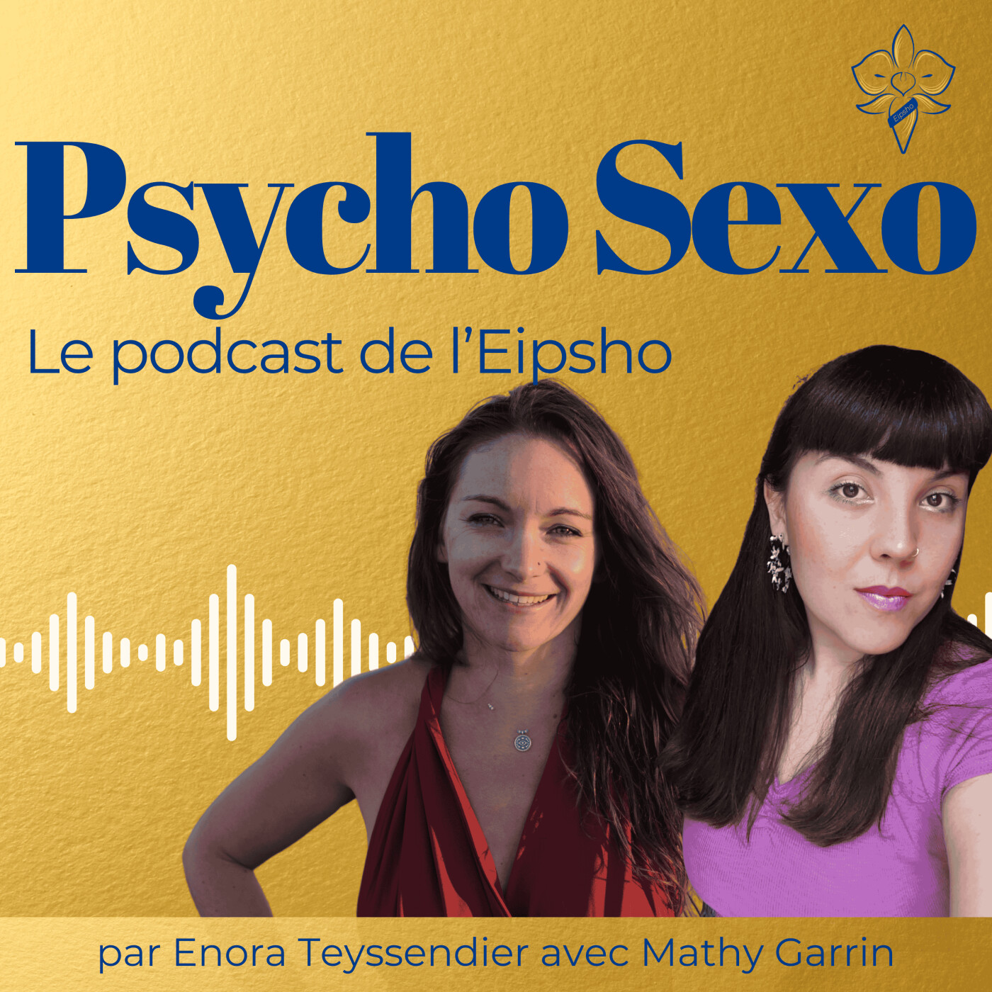 Psycho Sexo - clefs et outils pour accompagner la sexualité et lever les tabous