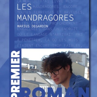 Les Mandragores : Un roman où la famille et les blessures du passé s’entrelacent ! cover